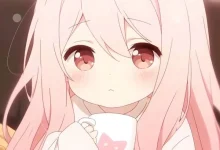 2026年01月06日更新36个免费节点,速度4.02M/S,支持SSR/V2ray/Clash客户端 - AirportNode